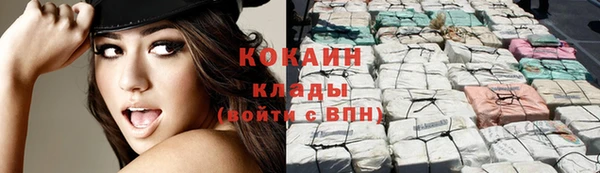крисы Каменногорск