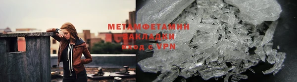 крисы Каменногорск