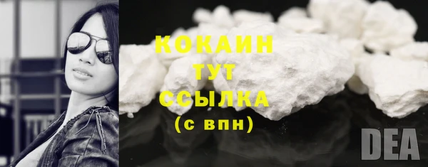 крисы Каменногорск