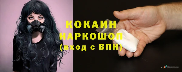 кокс Касимов